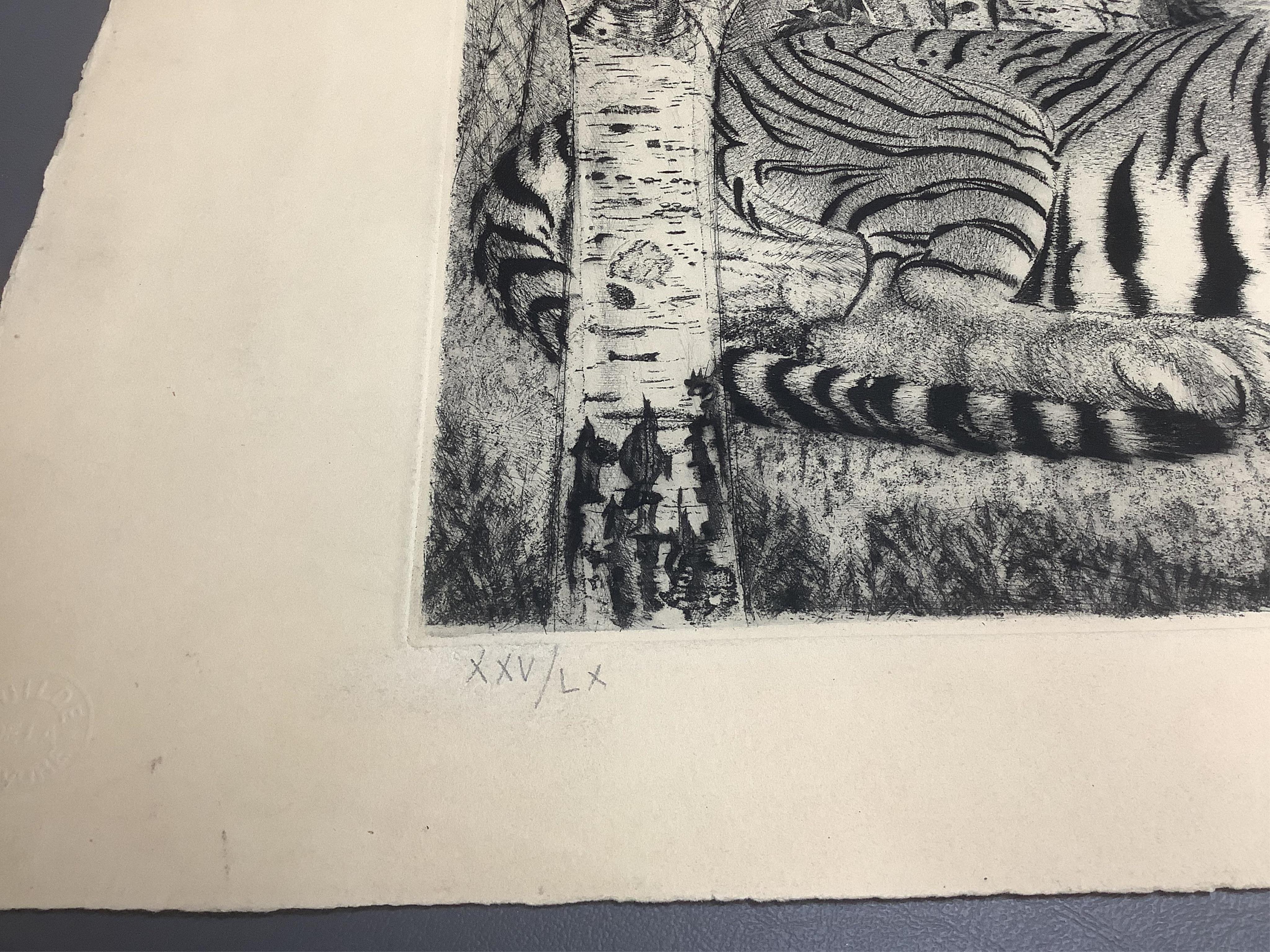 A folio of etchings, a lithograph and four black and white photographs to include Edmund Wiiralt, tiger, signed and numbered in pencil and Johnn Friedlaender, Fre Sol Bleu, unframed, largest 65 x 50cm